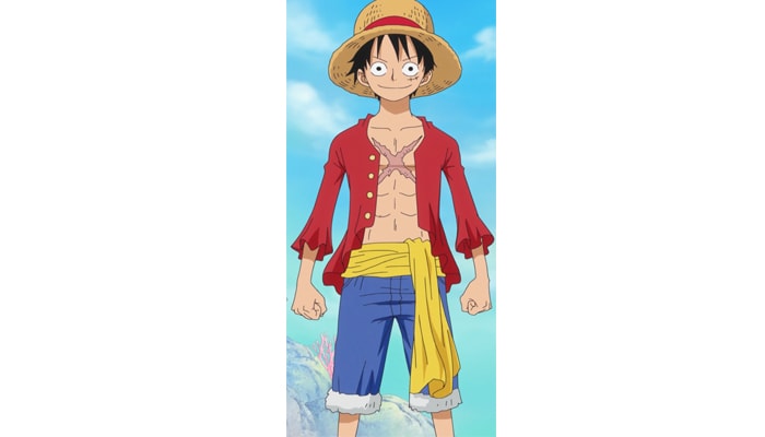 Monkey D. Luffy (One Piece)